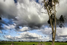 灰熊核心低迷，球队势头黯淡：何处是黎明？