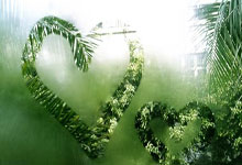 博洛尼亚客场失意：一场溃败，是终点还是新起点？