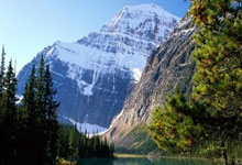 新西兰选手实现突破，创造奇迹！