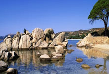 拜仁慕尼黑：逆境中的王者风范，淘汰赛的蓝色狂潮