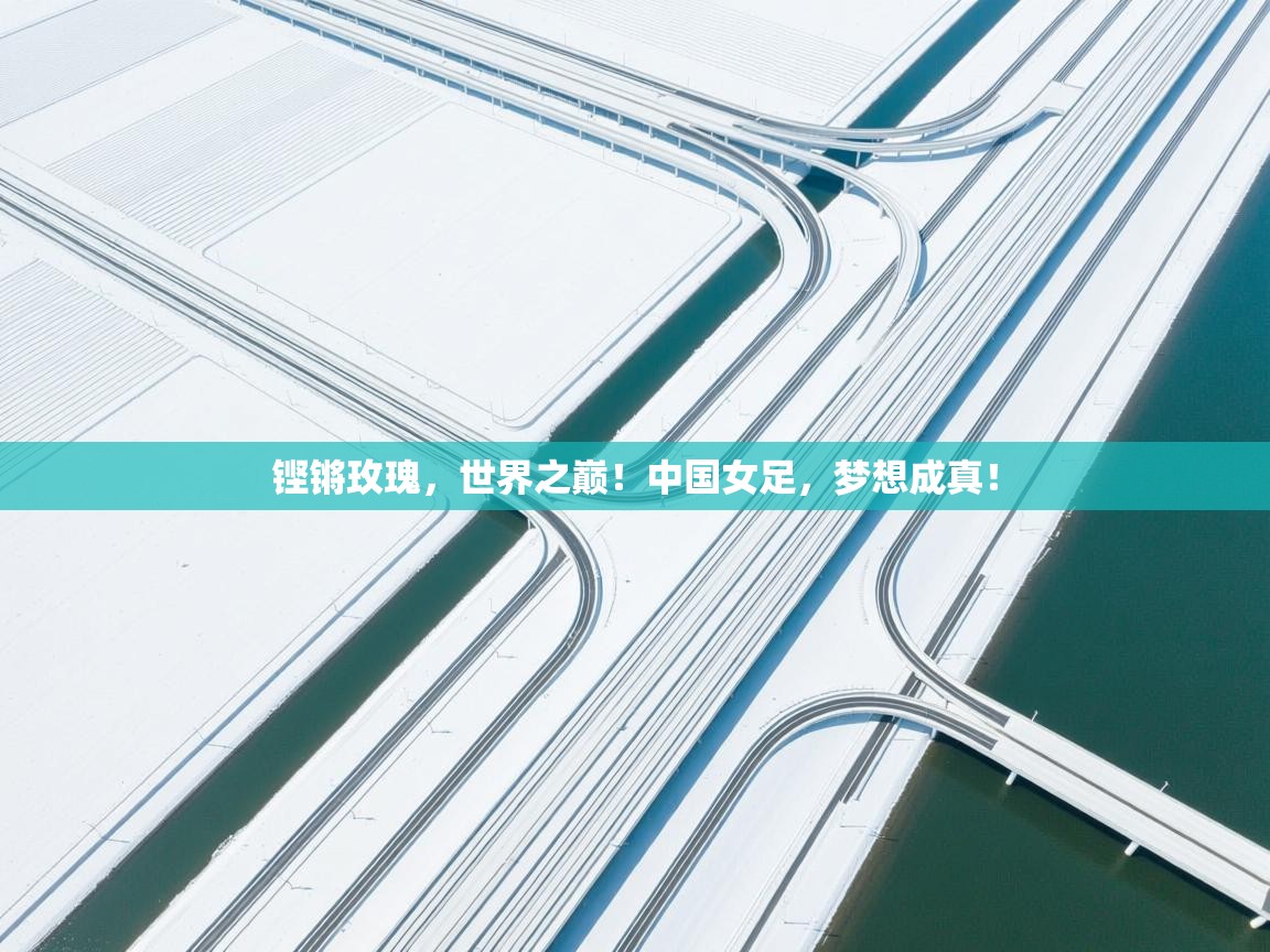 铿锵玫瑰，世界之巅！中国女足，梦想成真！  第2张