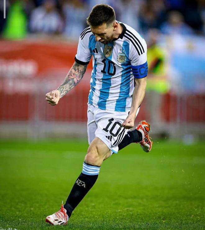 红与蓝的对决,冠军之路不容有失的简单介绍 红与蓝的对决,冠军之路不容有失的简单介绍