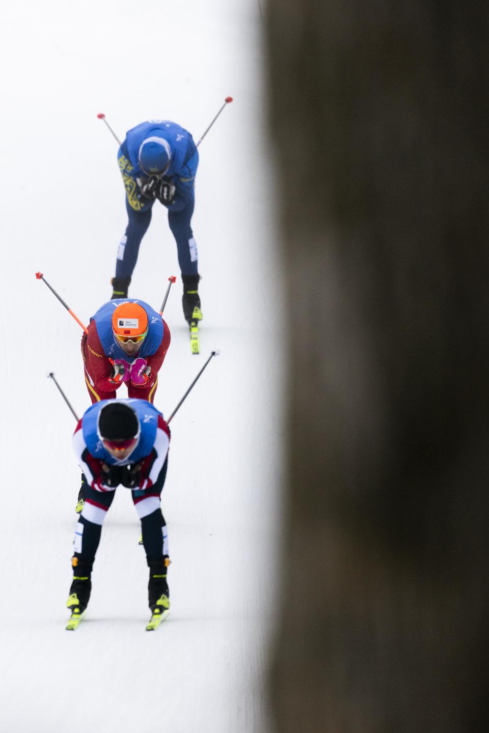 挪威男子越野滑雪选手实现完美表现,摘金的简单介绍 挪威男子越野滑雪选手实现完美表现,摘金的简单介绍